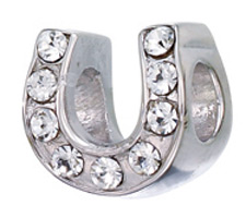 Horseshoe with Crystals